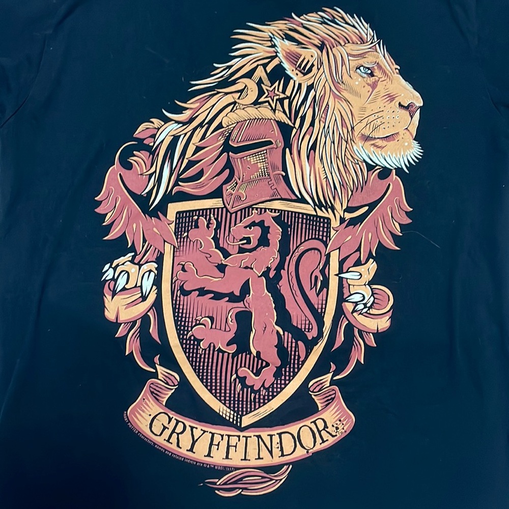 Logo Shirt Harry Potter Gryffindor Shirt Size Small